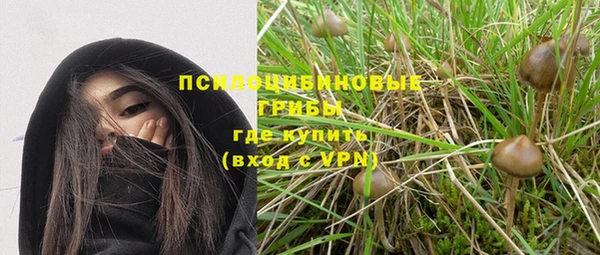 прущая мука Тында