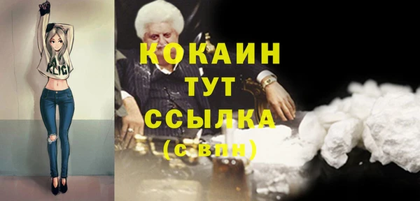 винт Туринск