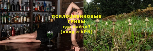 винт Туринск