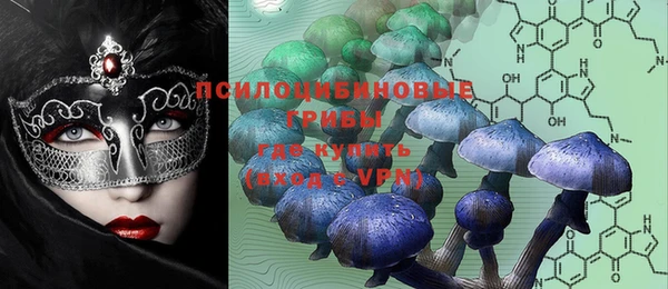 винт Туринск