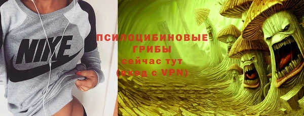прущая мука Тында