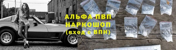 винт Туринск